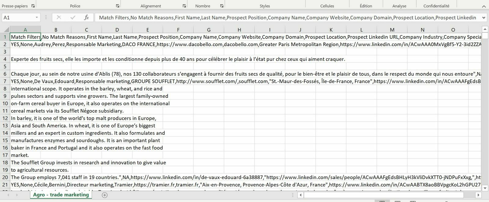 An Evaboot CSV opened in Excel with every field crammed into a single column