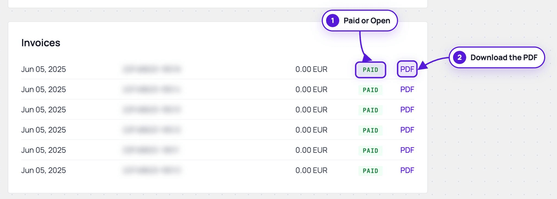 The Invoices card, with the payment status and the PDF link of the first invoice highlighted