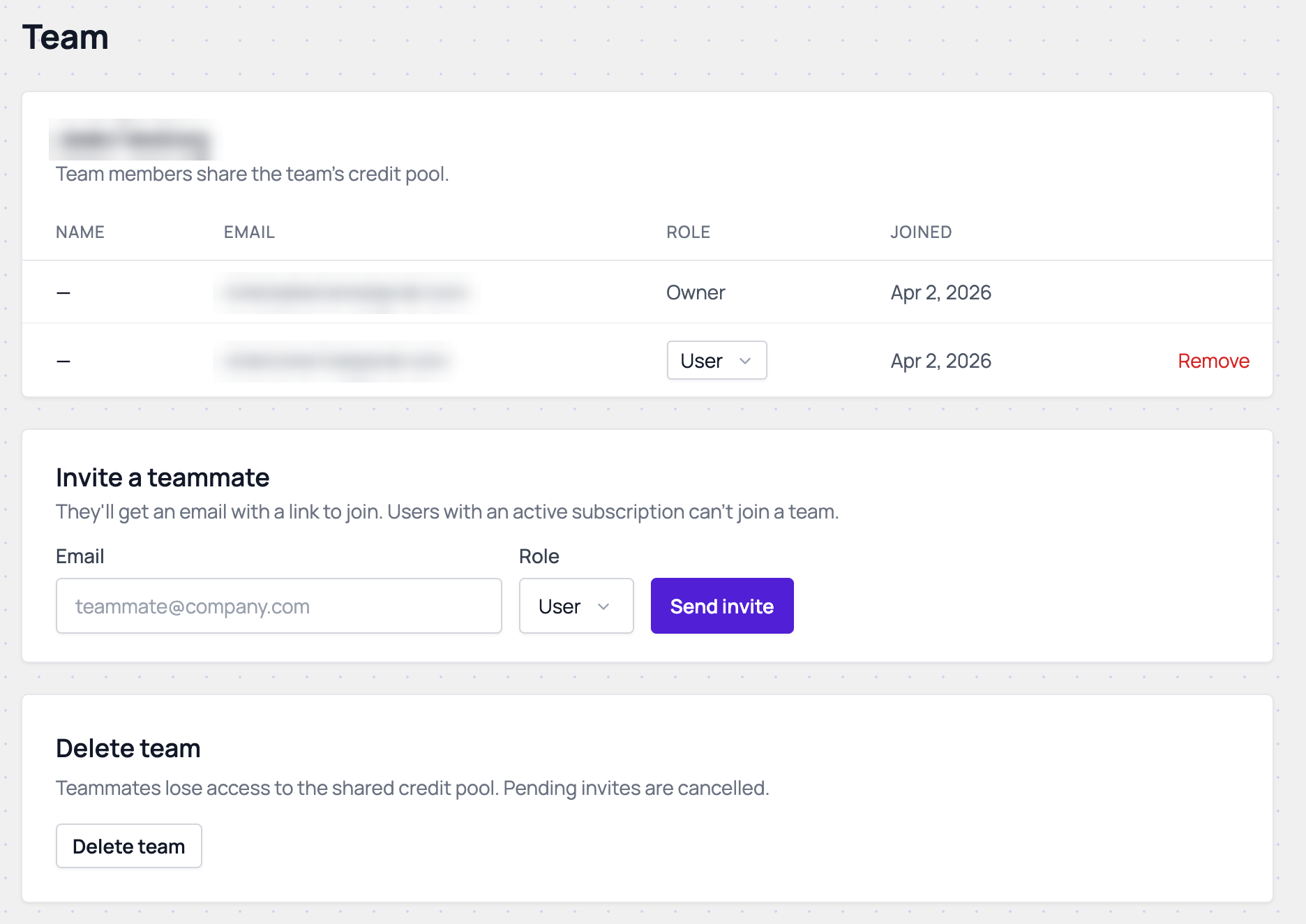 The Team page: the members table with each member's role and a Remove link, the Invite a teammate form, and the Delete team card