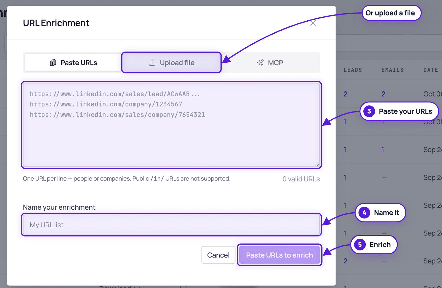 The URL Enrichment window: the paste box, the Upload file tab, the name field and the enrich button, each highlighted